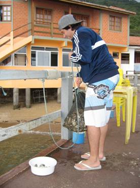 IMG_1568 Florianopolis oysters fresh from the sea.12.JPG